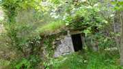 MAURICE_21_06-92