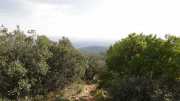 St_GUILHEM_21_03-109