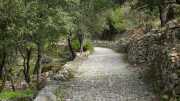 St_GUILHEM_21_03-23