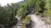 St_GUILHEM_21_03-41