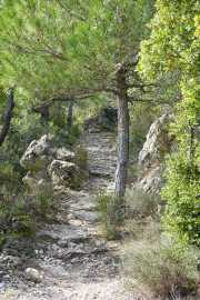 St_GUILHEM_21_03-42