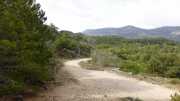 St_GUILHEM_21_03-46