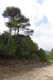 St_GUILHEM_21_03-48