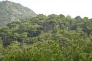 St_GUILHEM_21_03-50