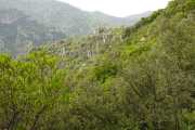 St_GUILHEM_21_03-61