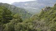St_GUILHEM_21_03-63