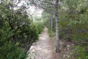St_GUILHEM_21_03-64