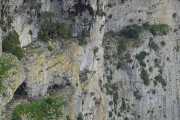 St_GUILHEM_21_03-90