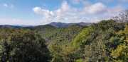 VIGNE_21_02-56