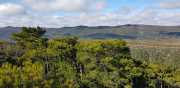 VIGNE_21_02-59