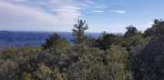 VIGNE_21_02-61