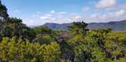 VIGNE_21_02-62