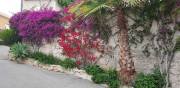 Azur_22_J02-29