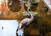 AZUR_22_J05-15b