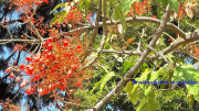 AZUR_22_J05-50c