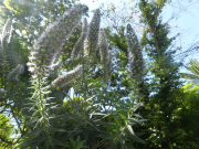 Azur_22_J05-10