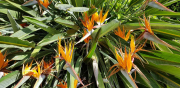 Azur_22_J05-13