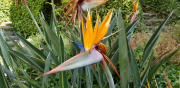 Azur_22_J05-14