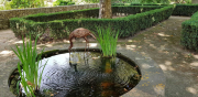 Azur_22_J05-15