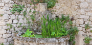 Azur_22_J05-22