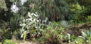 Azur_22_J05-23