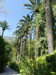 Azur_22_J05-33