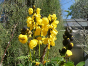 Azur_22_J05-37