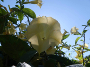 Azur_22_J05-39