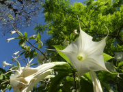 Azur_22_J05-42