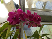 Azur_22_J05-44