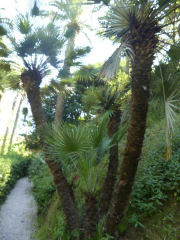 Azur_22_J05-47