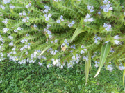 Azur_22_J05-55