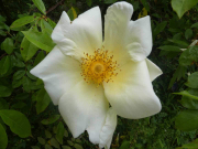 Azur_22_J05-6