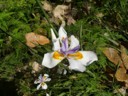 Azur_22_J05-8