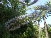 Azur_22_J05-9