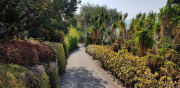 Azur_22_J06-1