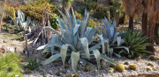 Azur_22_J06-10