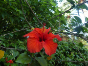 Azur_22_J06-18