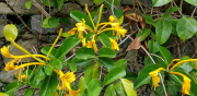 Azur_22_J06-33