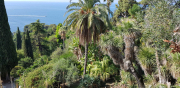 Azur_22_J06-4