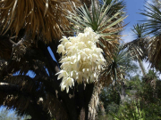 Azur_22_J06-49