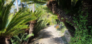 Azur_22_J06-9