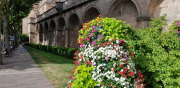 Perigord_22_J1-41
