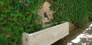 Perigord_2022_J02_Montal-3
