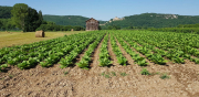 Perigord_2022_J03-36