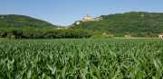 Perigord_2022_J03-41