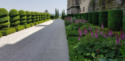 Perigord_22_J04_Hautefort-8