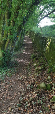 Perigord_22_J04_Terrasson-9