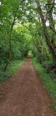 Perigord_22_J05_Limeuil-15