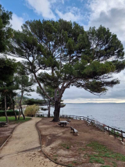 Carqueiranne_22_11-25